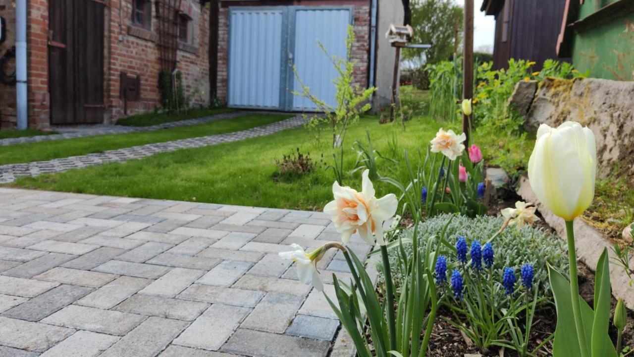 Ferienhaus Blaue Blume: Eco-Friendly Retreat with EV Charging & Sauna Guntersberge Exterior photo